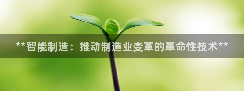 彩神v8手机客户端