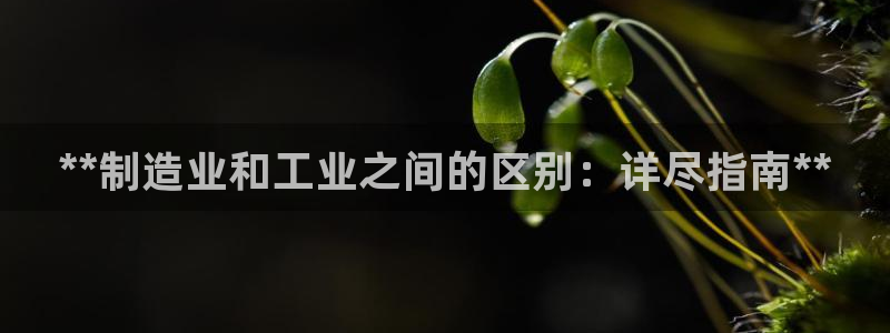 彩神vl购彩大厅