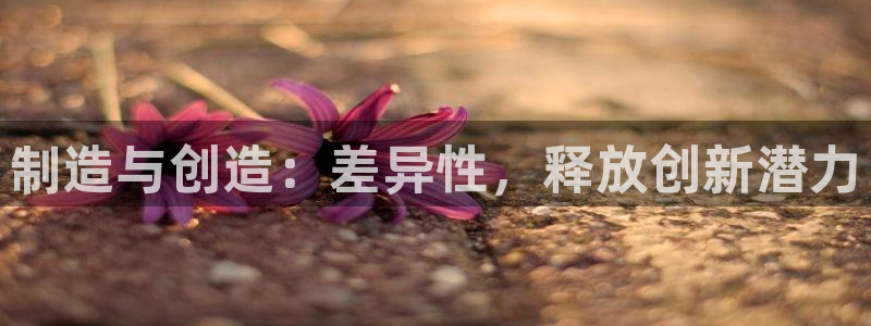 彩神v集团有限公司：制造与创造：差异性，释放创新潜力