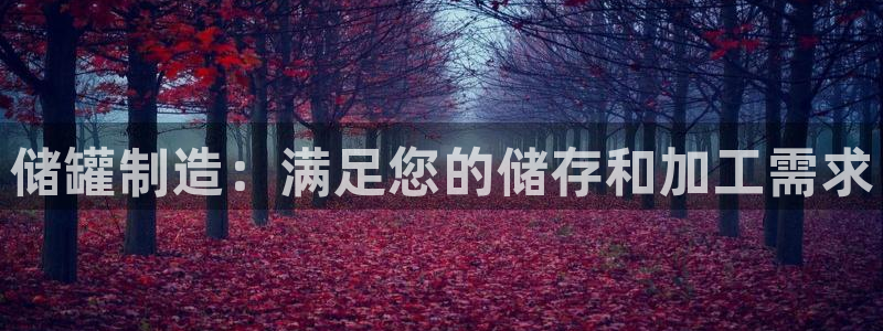 彩神vii手游下载：储罐制造：满足您的储存和加工需求