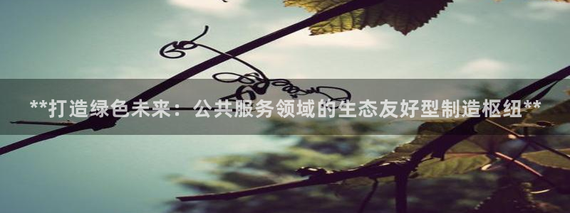 彩神vll官网-最新版app下载：**打造绿色未来：公共服务