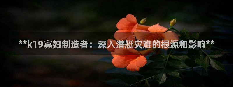 彩神v8购彩大厅登：**k19寡妇制造者：深入潜艇灾难的根源