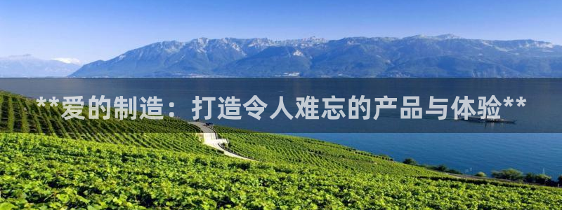 彩神大发三期计划网站：**爱的制造：打造令人难忘的产品与体验