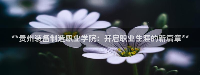 彩神8app官方下载