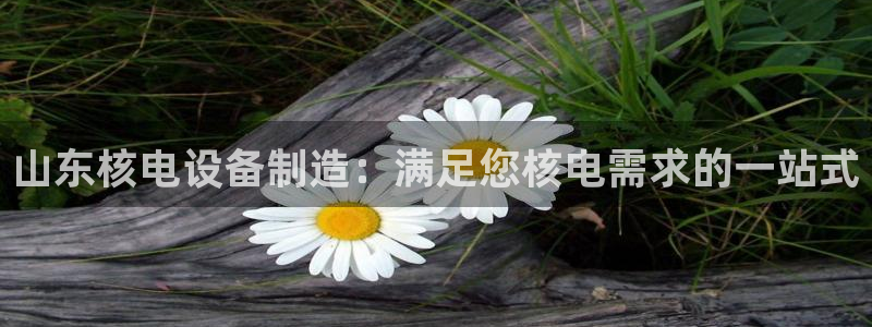 彩神v大众娱乐