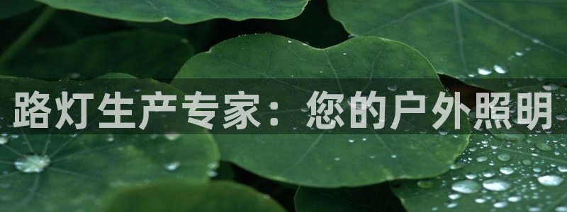 彩神vll官网-最新版app下载