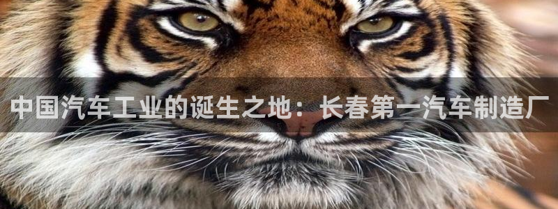 彩神新微聊
