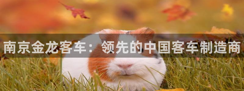 彩神v8下载网址