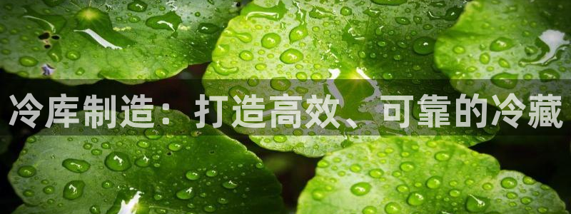 彩神app能挣到钱吗：冷库制造：打造高效、可靠的冷藏