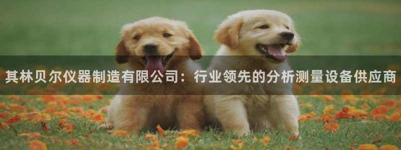 彩神v天天：其林贝尔仪器制造有限公司：行业领先的分析测量设备供应商