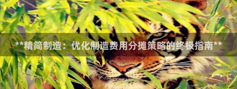 彩神viii是正规平台吗?：**精简制造：优化制造费用分摊策略的终极指南**