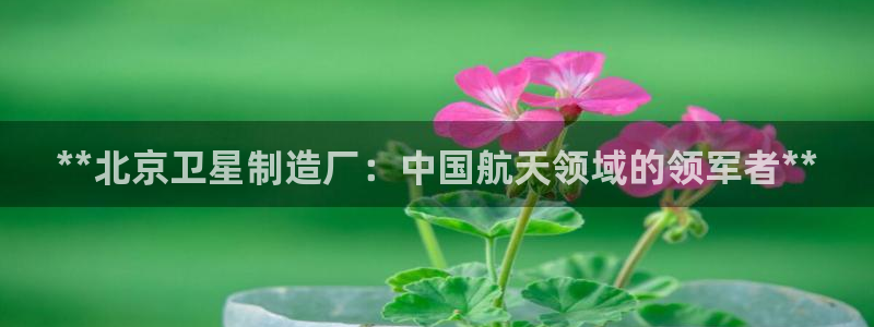彩神VI首页