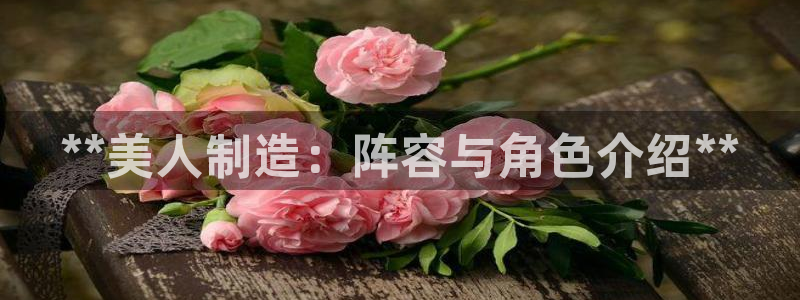 彩神数码科技有限公司