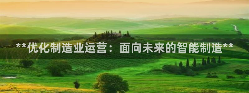 彩神网官网登录：**优化制造业运营：面向未来的智能制造**