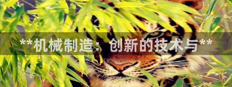 彩神赢钱了吗