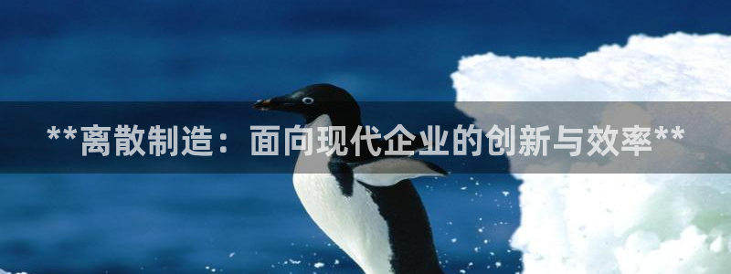 彩神广告有限公司：**离散制造：面向现代企业的创新与效率**
