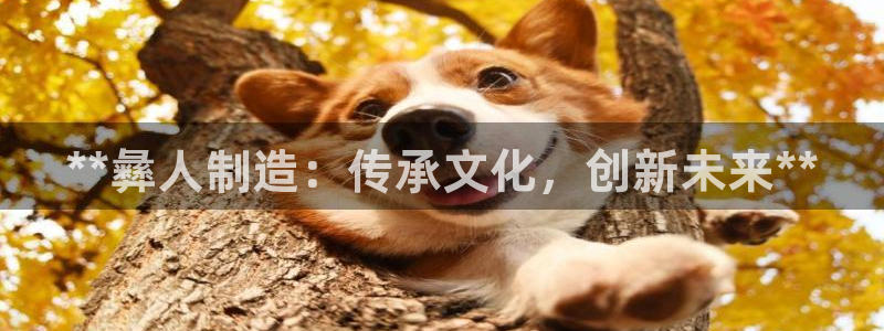 彩神争霸官网登录平台