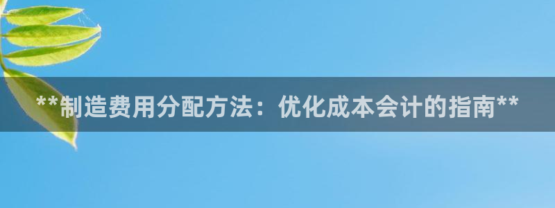 彩神系列平台：**制造费用分配方法：优化成本会计的指南**