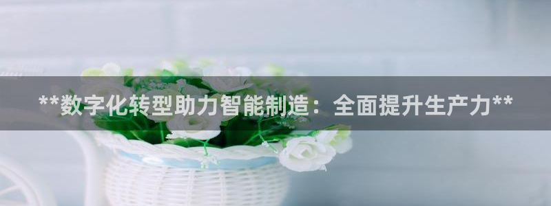 彩神8官网合法吗：**数字化转型助力智能制造：全面提升生产力**