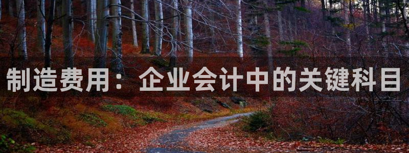 彩神 好 平台
