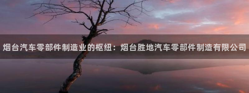 彩神vii官网大赢家：烟台汽车零部件制造业的枢纽：烟台胜地汽