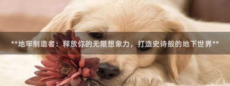 彩神8最新版下载：**地牢制造者：释放你的无限想象力，打造史诗般的地下世界**