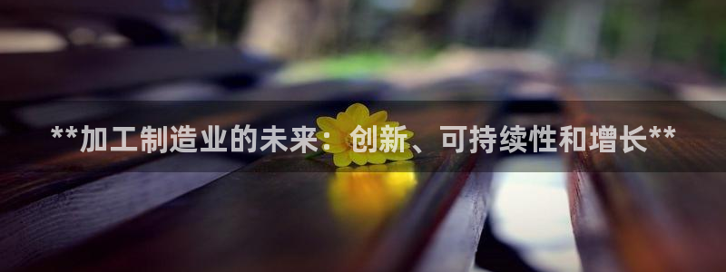 彩神vll购彩大厅：**加工制造业的未来：创新、可持续性和增
