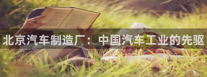 彩神vip官方网站