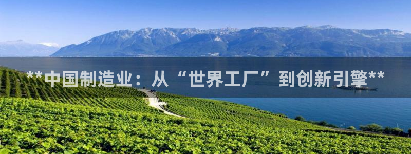 彩神是怎样一个平台：**中国制造业：从“世界工厂”到创新引擎