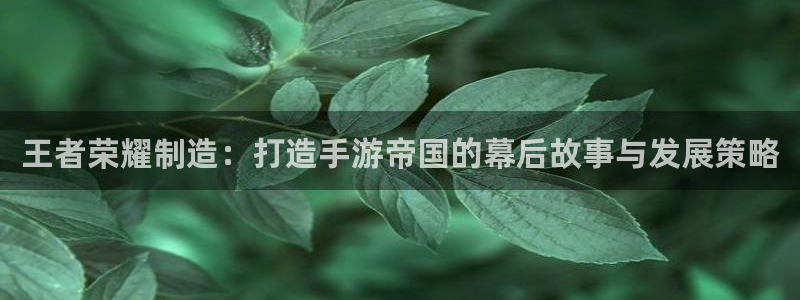 彩神v争霸有限公司：王者荣耀制造：打造手游帝国的幕后故事与发