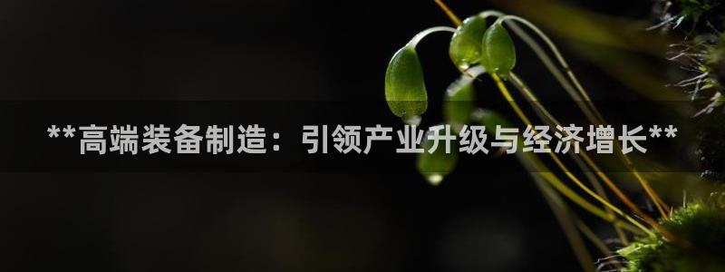 彩神v8平台正规吗安全吗：**高端装备制造：引领产业升级与经