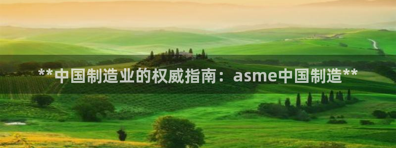 彩神ix能赚钱吗：**中国制造业的权威指南：asme中国制造