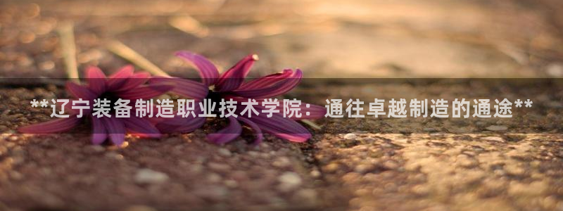 彩神v8是真的挣钱吗：**辽宁装备制造职业技术学院：通往卓越制造的通途**