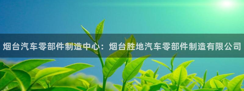 彩神vi争霸官网：烟台汽车零部件制造中心：烟台胜地汽车零部件制造有限公司