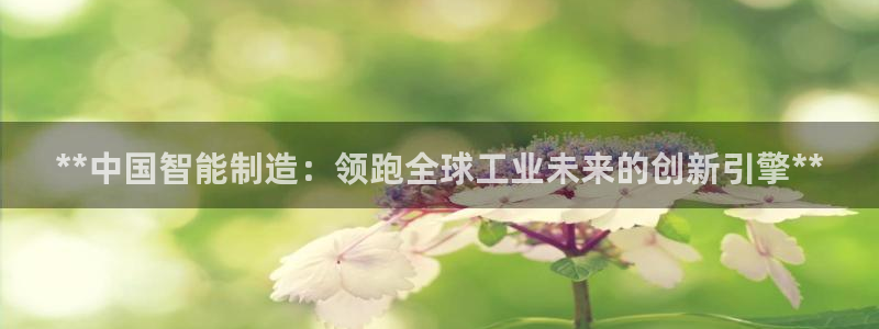 彩神大发cp：**中国智能制造：领跑全球工业未来的创新引擎**