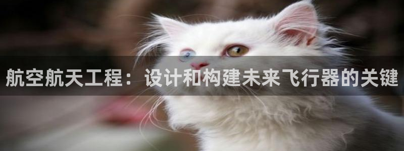 彩神旗下有哪些平台可以看：航空航天工程：设计和构建未来飞行器的关键