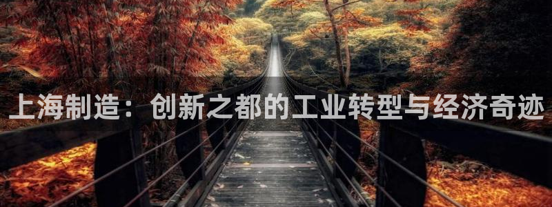 下载彩神乐发V：上海制造：创新之都的工业转型与经济奇迹