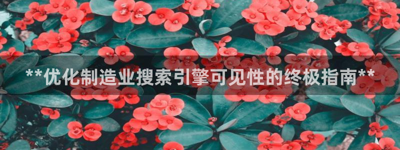 所有彩神购买首页都一样吗