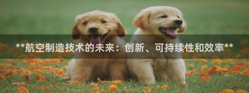 新版彩神v8登录不了：**航空制造技术的未来：创新、可持续性和效率**