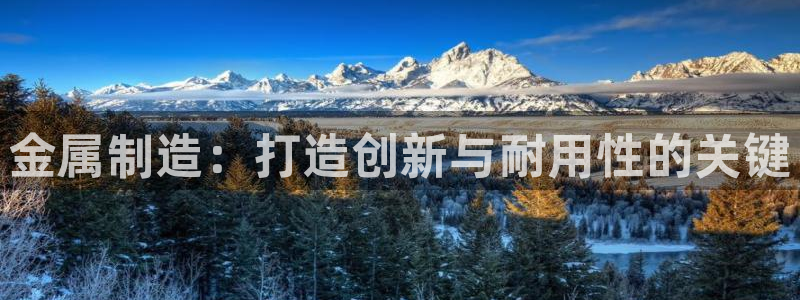 彩神ios下载：金属制造：打造创新与耐用性的关键