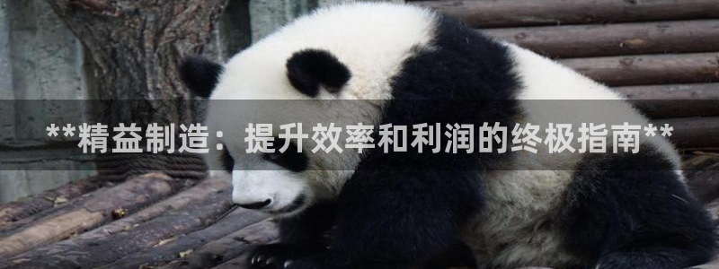 彩神v集团有限公司：**精益制造：提升效率和利润的终极指南**