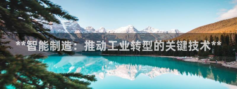 新版彩神v8登录不上去：**智能制造：推动工业转型的关键技术**