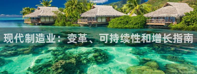 彩神vll购彩大厅大众：现代制造业：变革、可持续性和增长指南