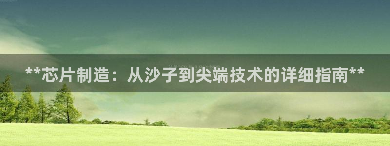 彩神V3大赢家：**芯片制造：从沙子到尖端技术的详细指南**