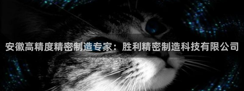 彩神vll购彩大厅：安徽高精度精密制造专家：胜利精密制造科技