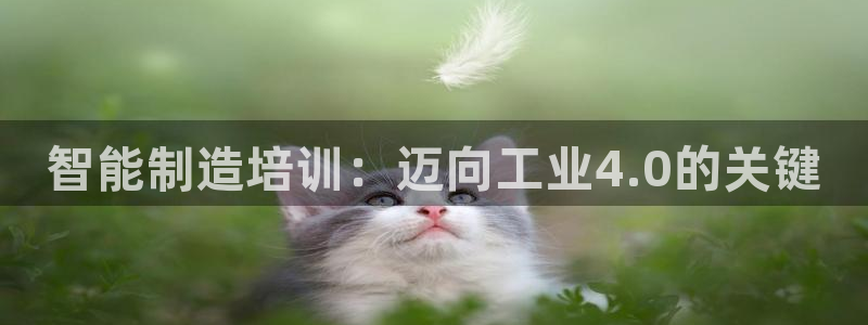 新版彩神v8登录教程：智能制造培训：迈向工业4.0的关键
