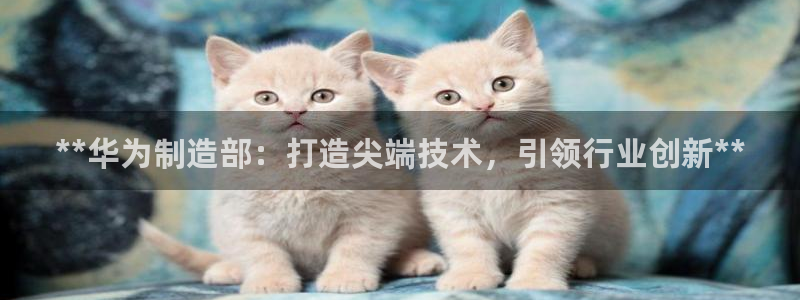 彩神ii官方网：**华为制造部：打造尖端技术，引领行业创新**