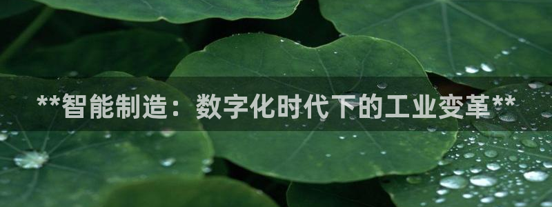 彩神ⅴll用户登录：**智能制造：数字化时代下的工业变革**