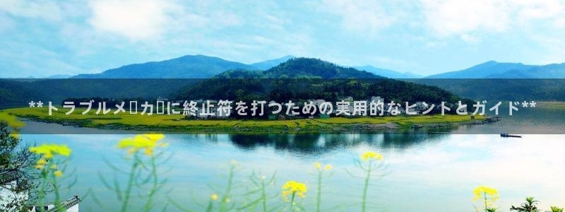 彩神怎么样可以提现：**トラブルメーカーに終止符を打つための