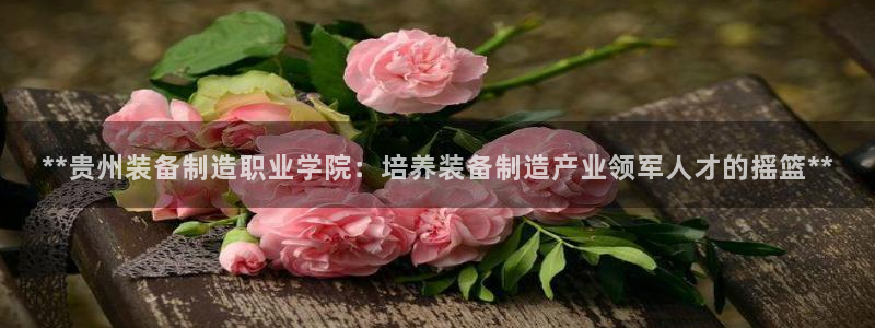 彩神v争霸是啥：**贵州装备制造职业学院：培养装备制造产业领军人才的摇篮**